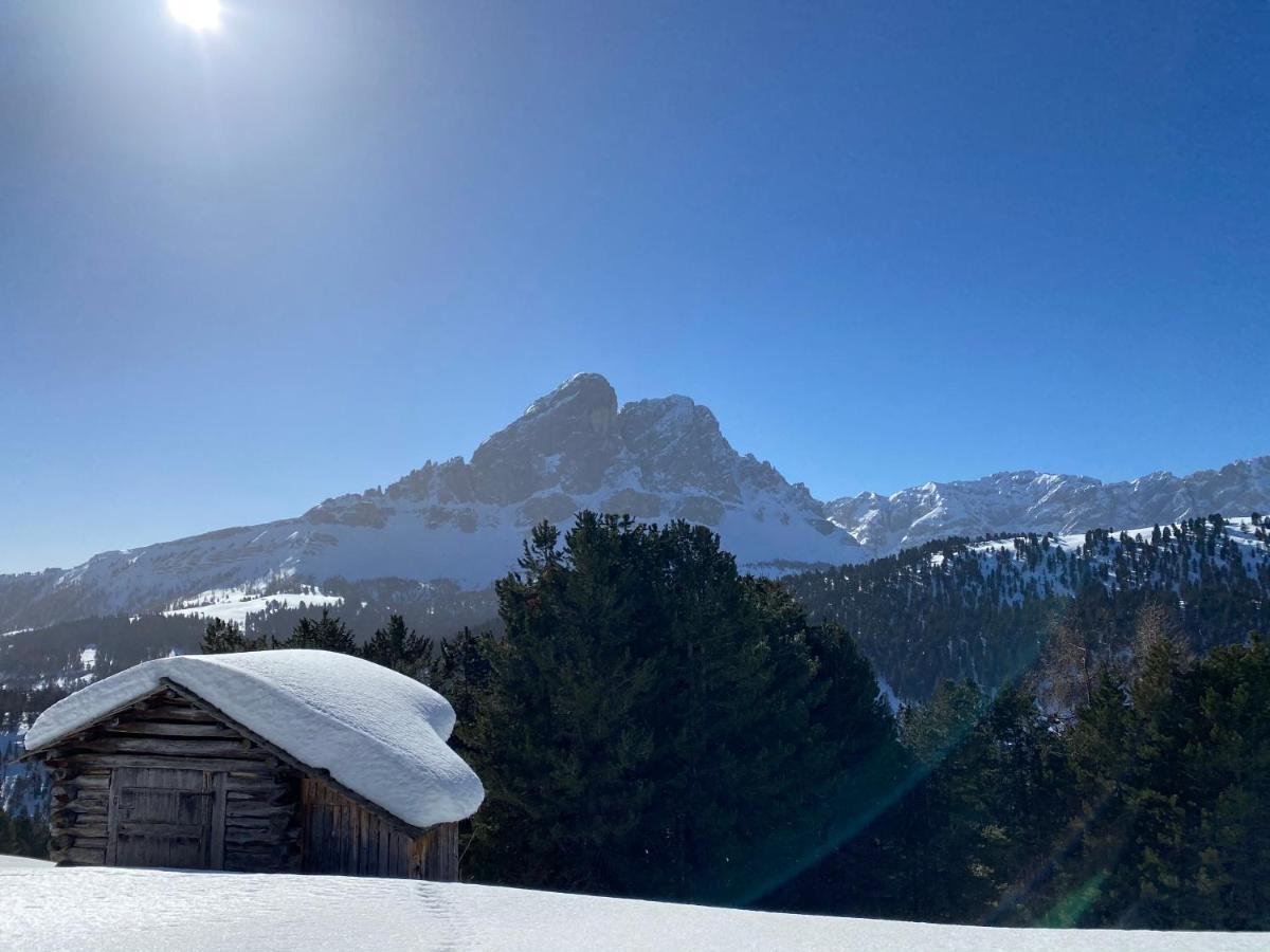 Apartmán La Ciasota Antermoia Exteriér fotografie